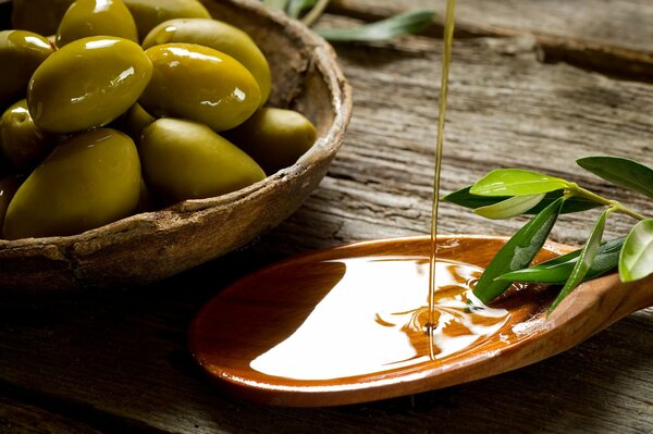 Platillo de aceitunas y ramita de olivo