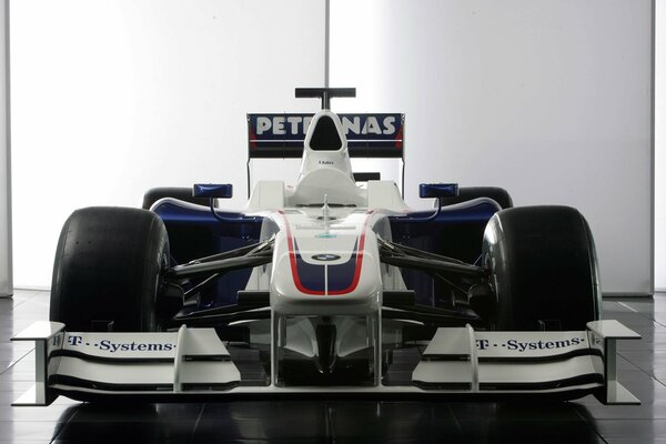 Bmw Sauber on the seagull race eats very quickly the head almost flies away