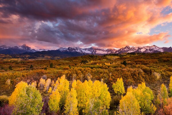 Otoño, cielo, bosque amarillo, nubes sobre la montaña