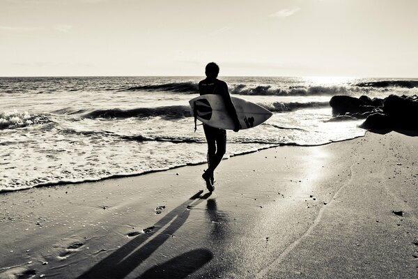 Traces of a surfer on a sandy beach