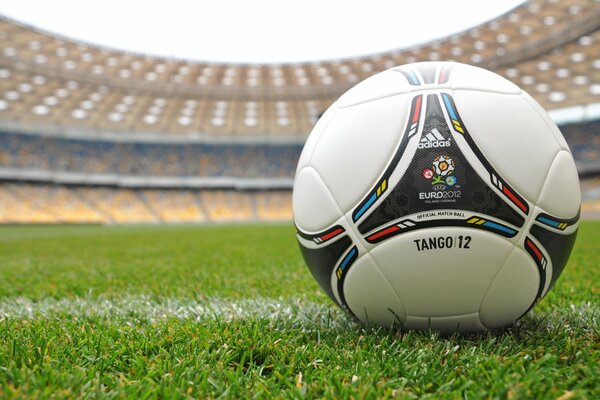 Euro 2012 ball close-up