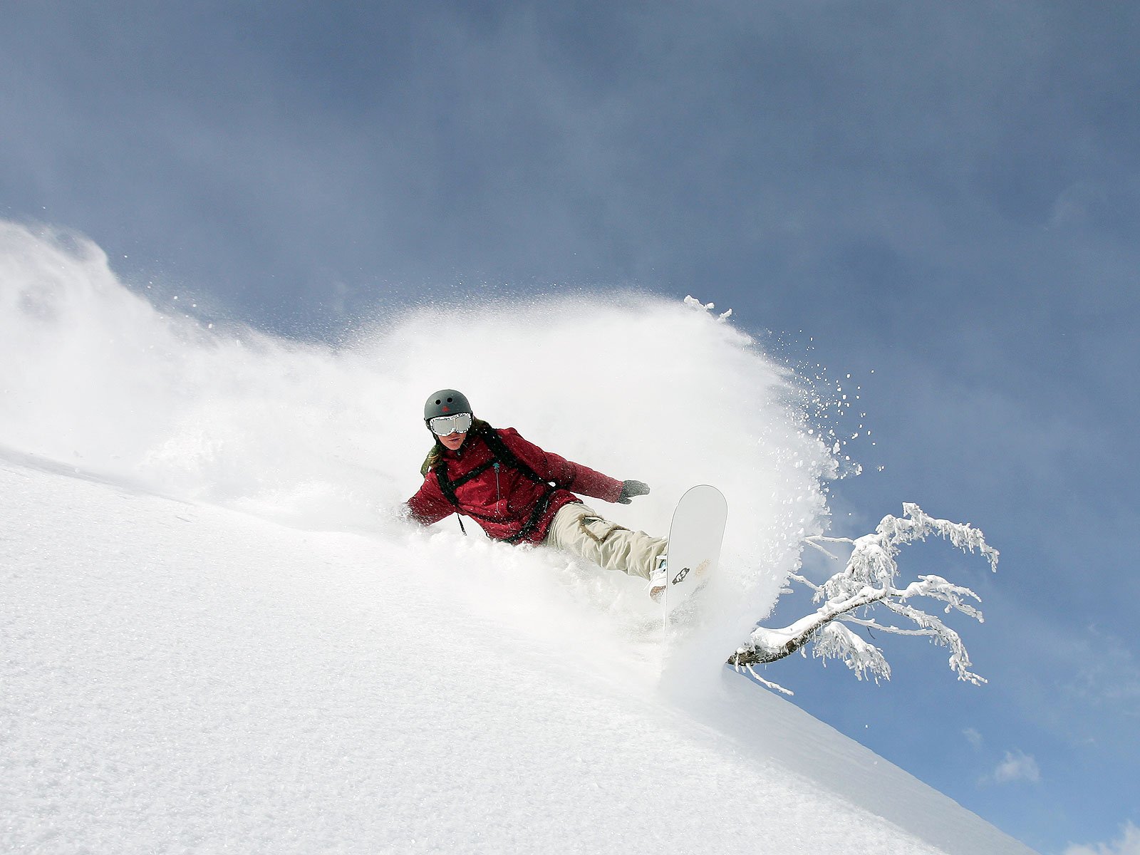 nowboarding mountain descent snow tree winter