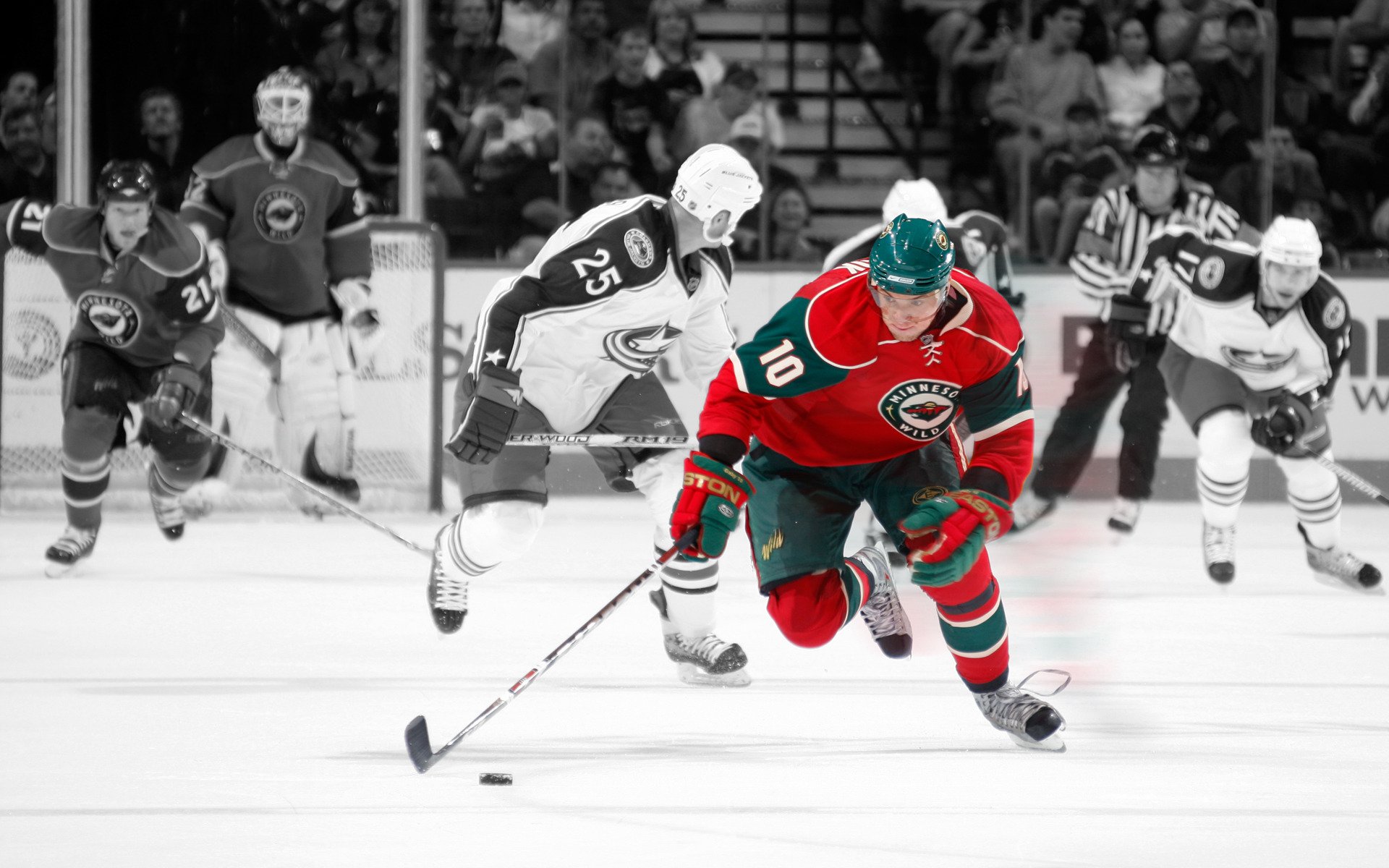 minnesota wild nhl nhl hokej gra gracze kij krążek