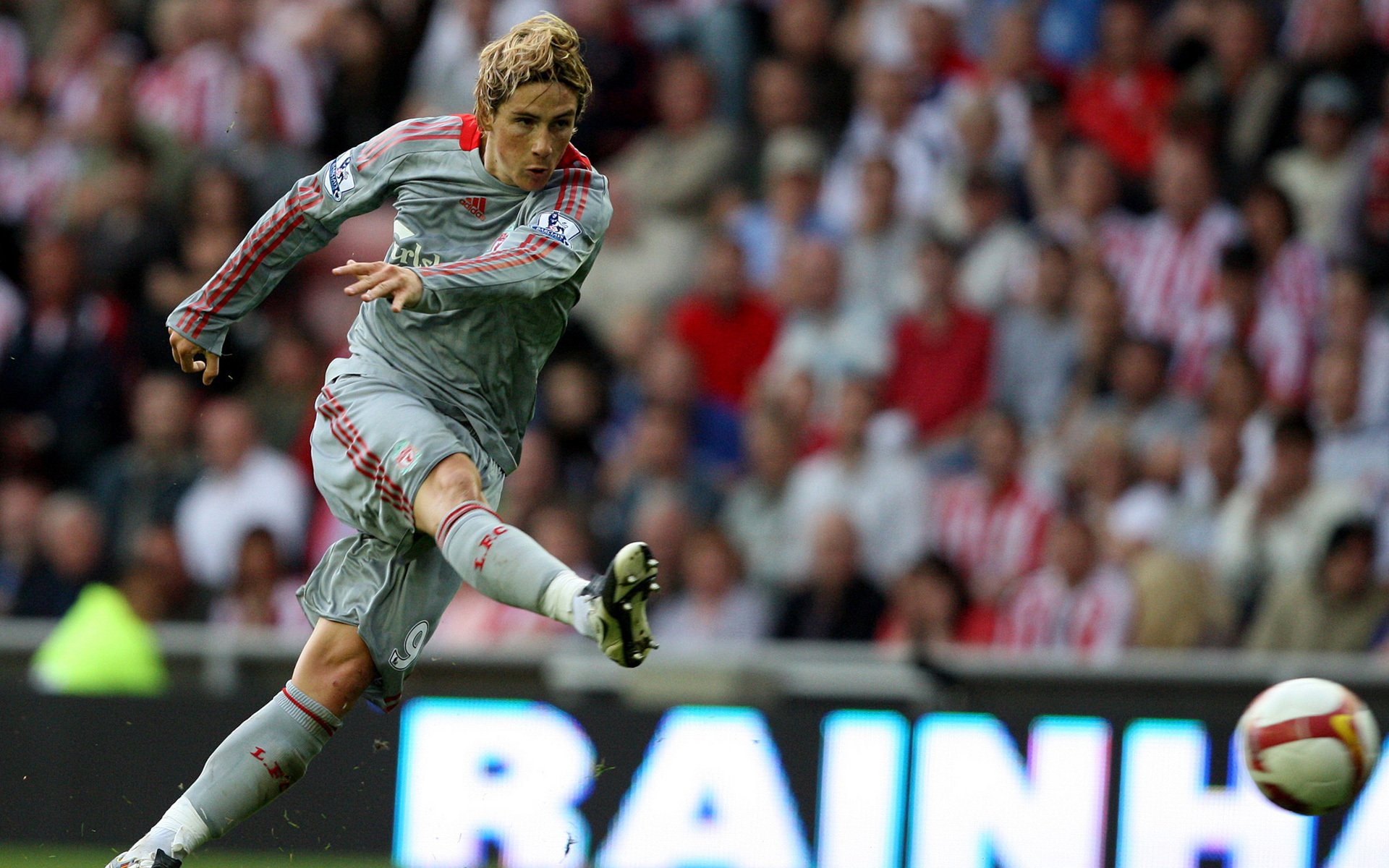 ports football fernando torres with the players of football