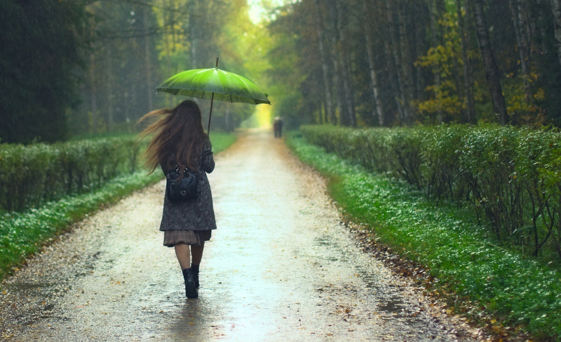 girl road umbrella tree rain