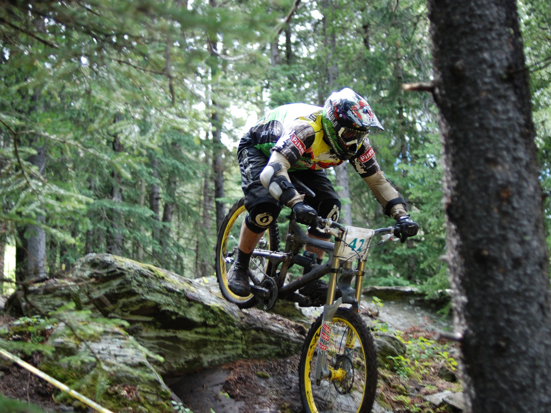 bike downhill dh extreme forest