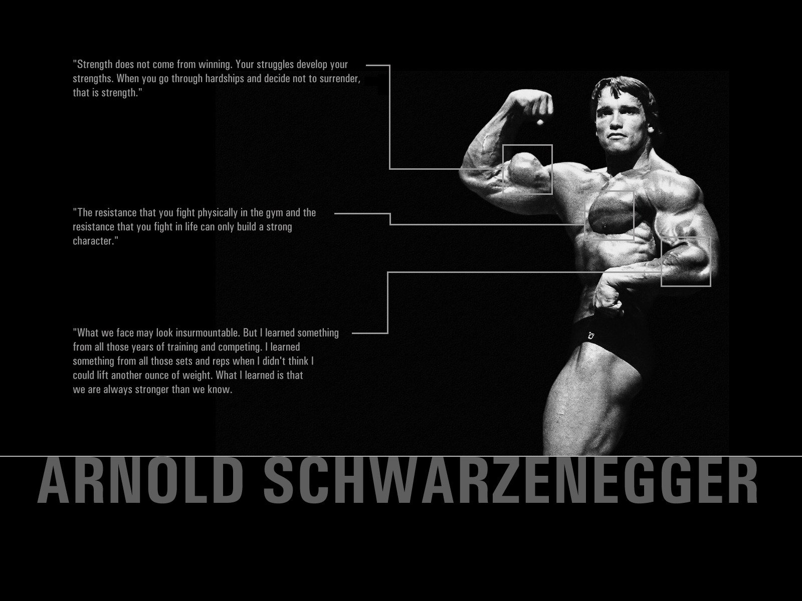 arnold schwarzenegger force citations corps muscles