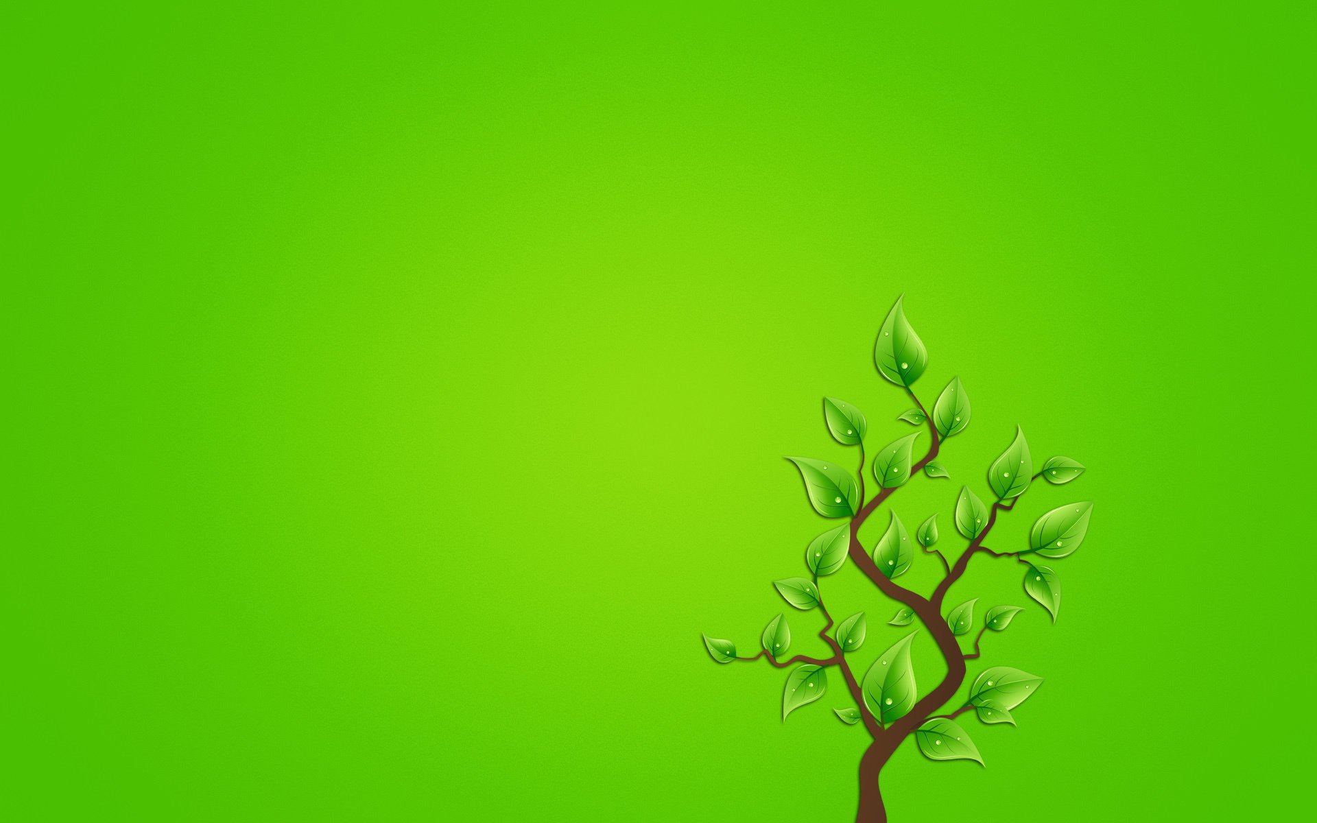 minimalismo rama hojas árbol fondo verdoso