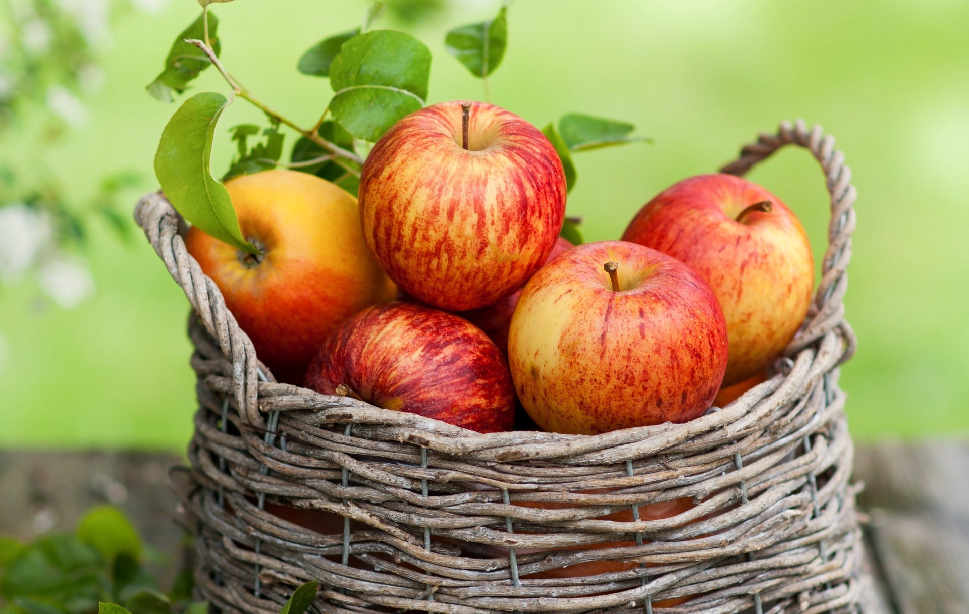 pommes panier fruits feuilles automne