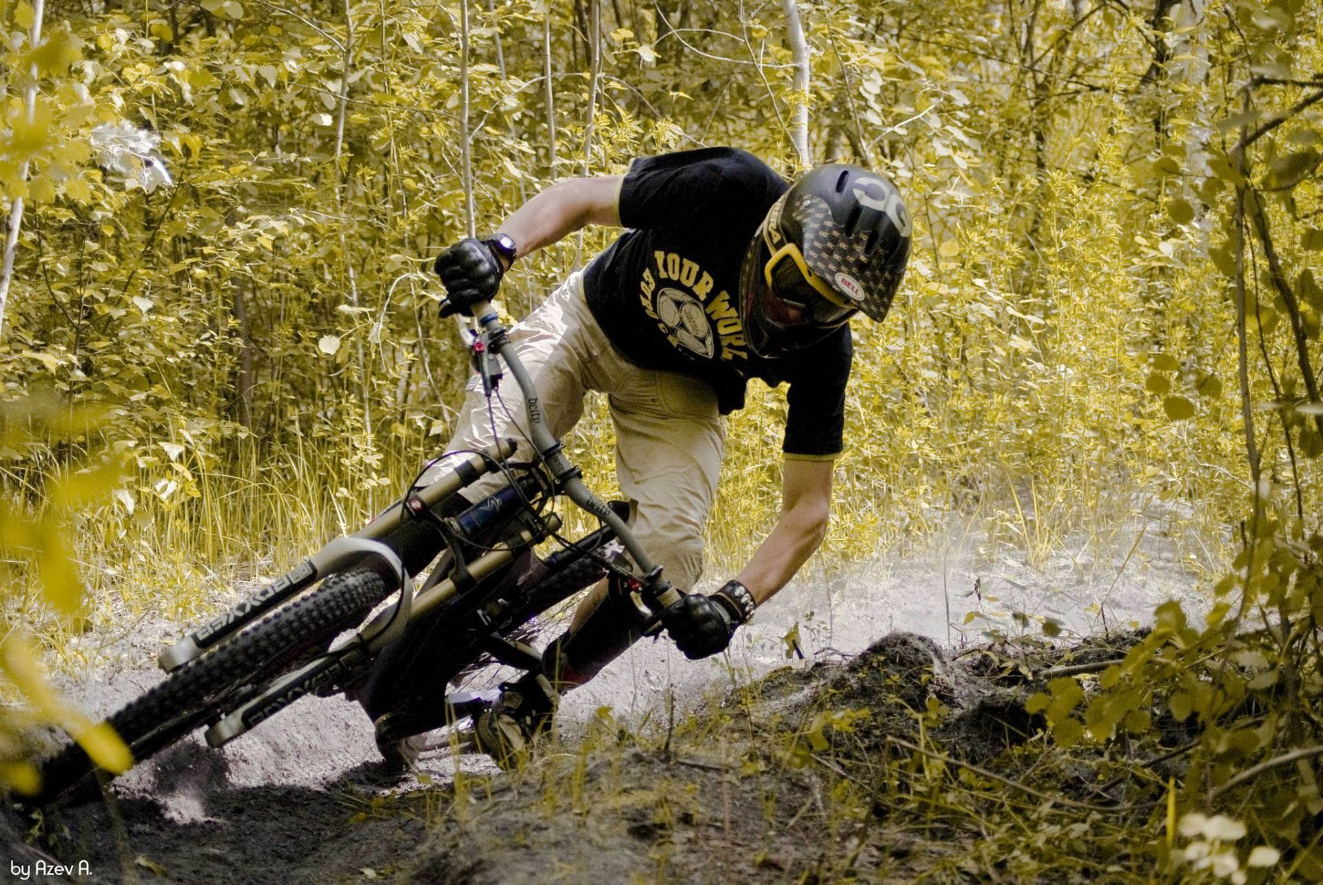 vélo route forêt