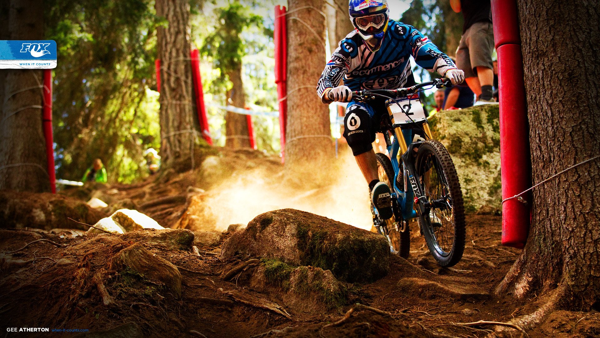 mountain bike bici bicicletta velocità polvere foresta