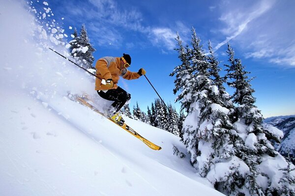 Extreme ski descent in the forest