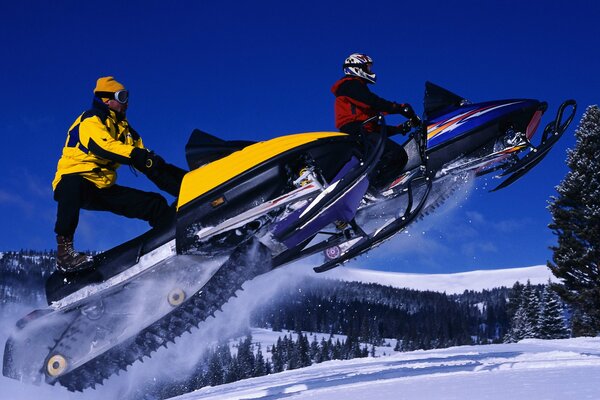 La gente monta motos de nieve, abeto en el fondo