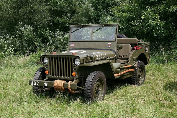 Quatre roues motrices Jeep-MV dans le champ près de la forêt