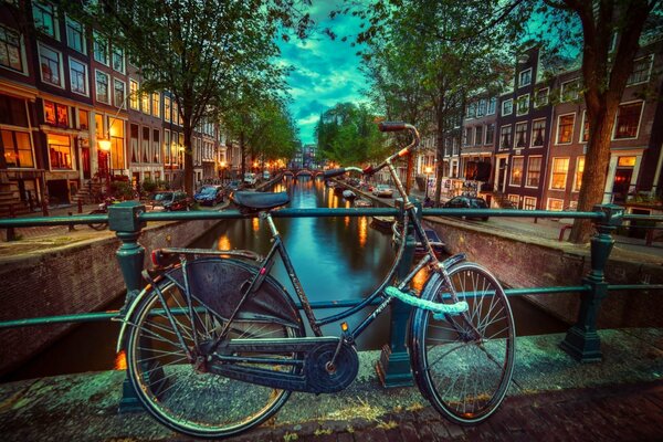 Un ami à deux roues regarde Amsterdam