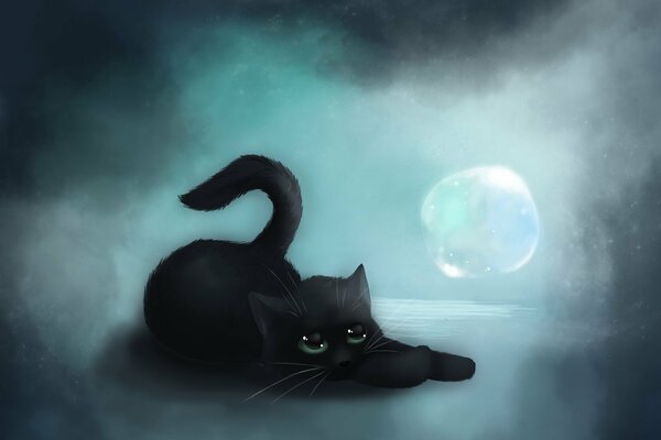 The black cat lies and looks at the bubble