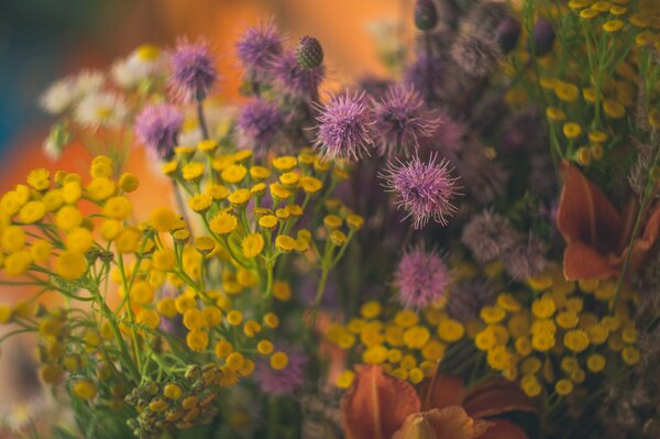 Ramo de flores de campo sobre un fondo brillante