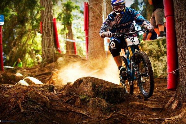 Mountain bike. Cycliste sur route à travers la forêt