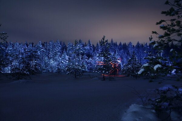 Silhouette einer Wiese im Wald in der Winternacht