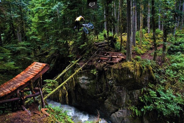 TRAMPOLINO DI LANCIO NELLA FORESTA ATTRAVERSO IL FIUME