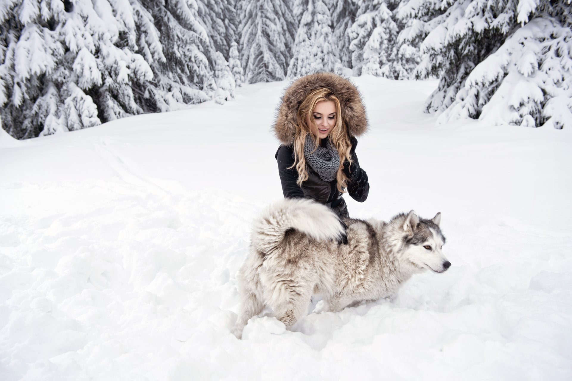 blondynka dziewczyna pies husky spojrzenie śnieg las