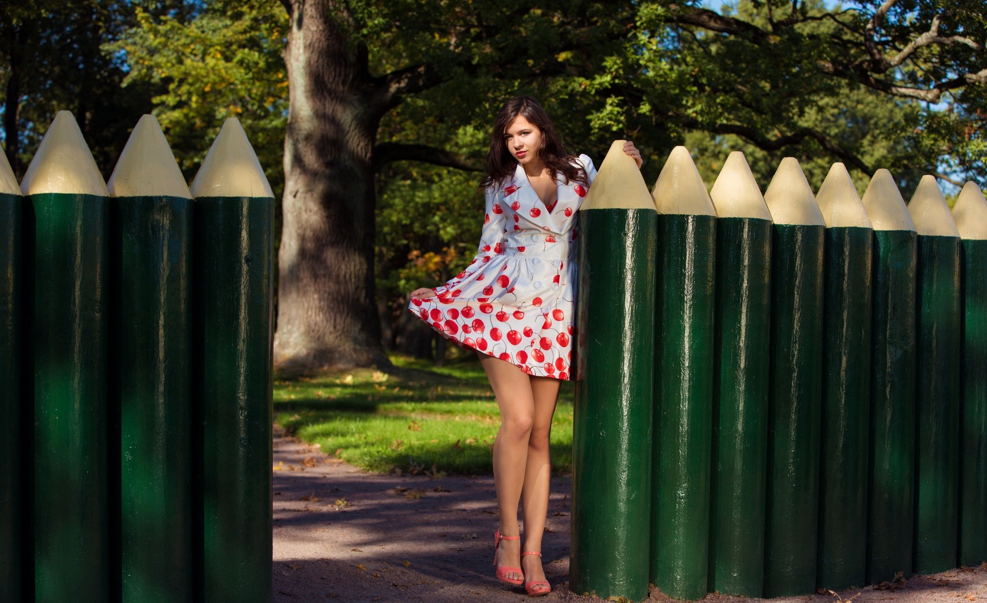 audrey dress fence