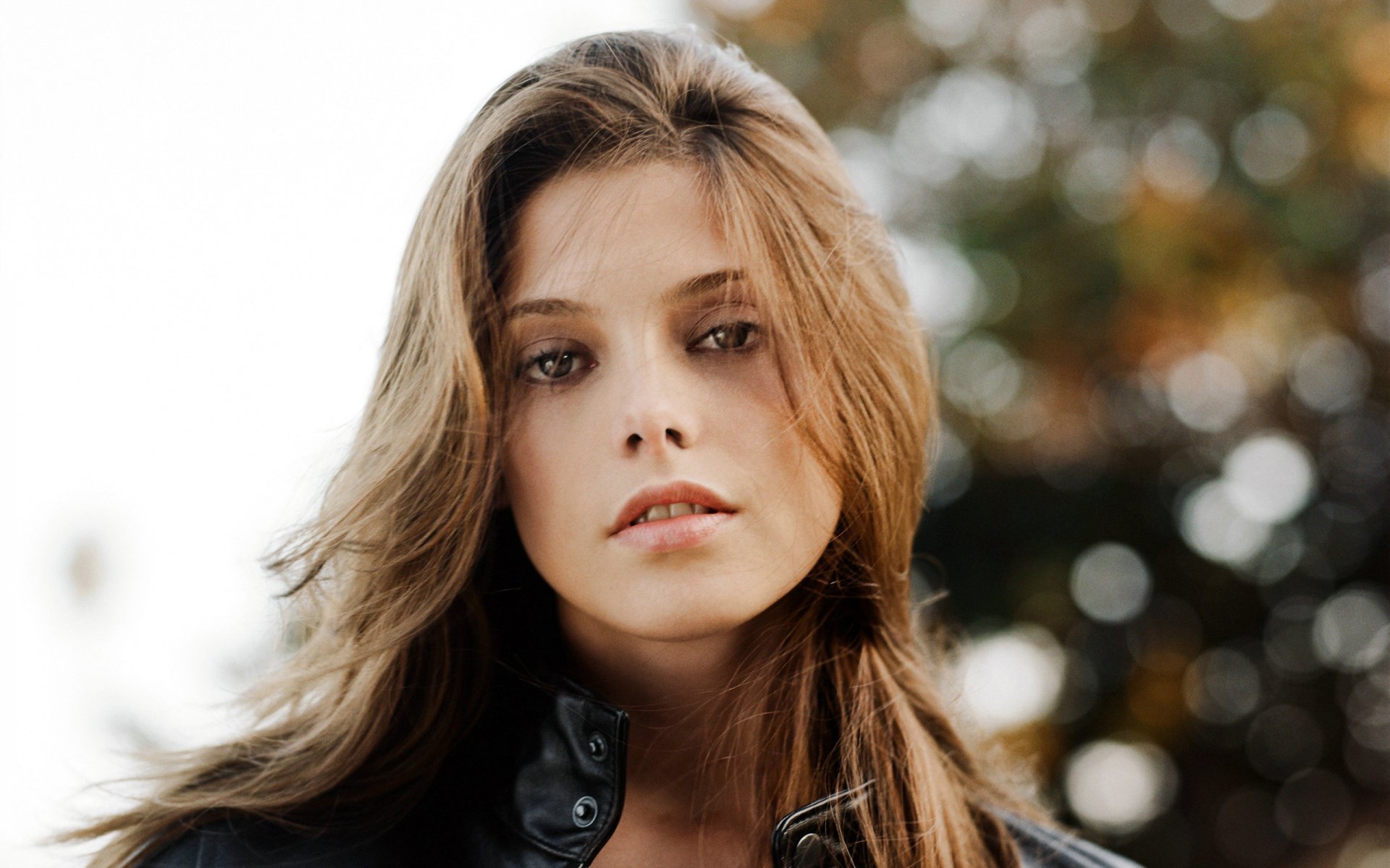 ashley greene alice beauté actrice brunette charmant beauté