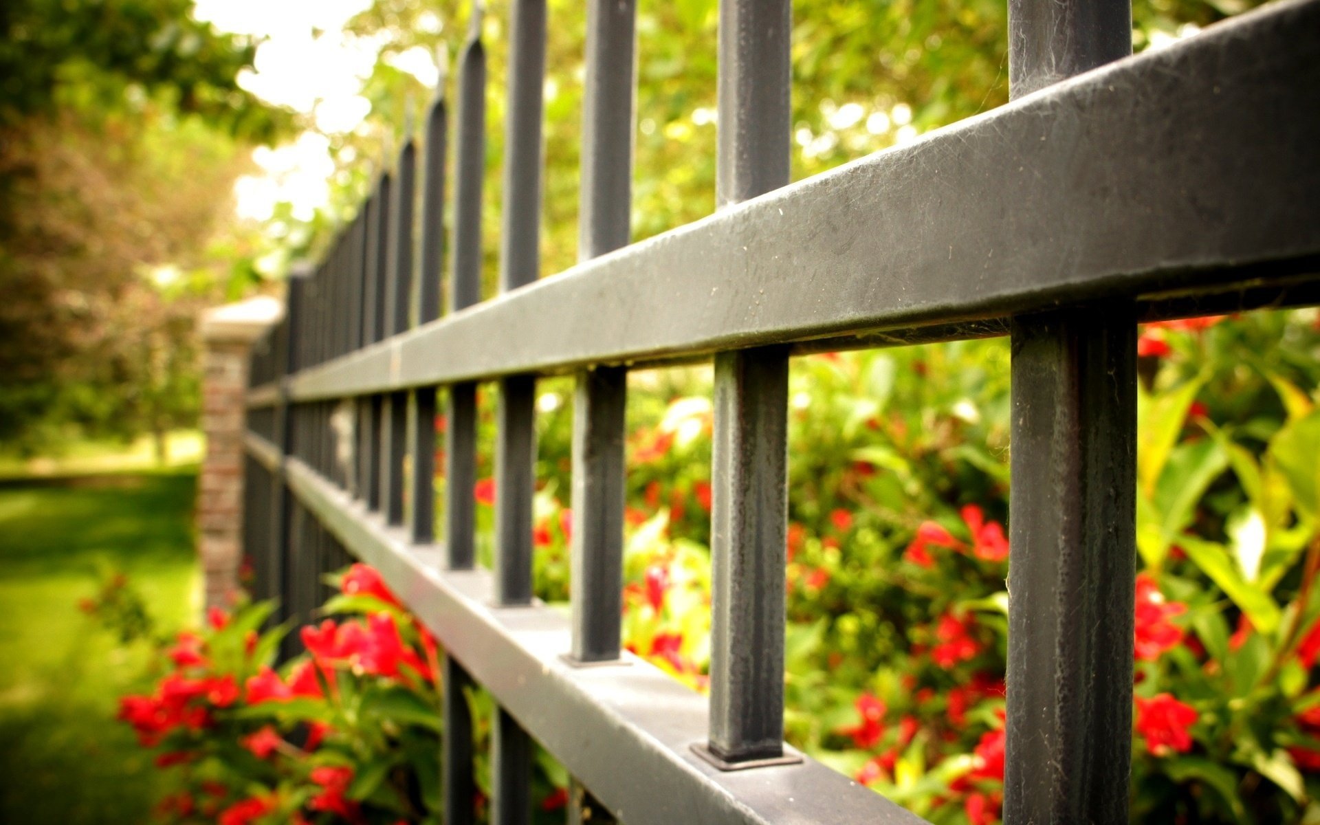 macro puerta cerca fence flores cerca cerca macro