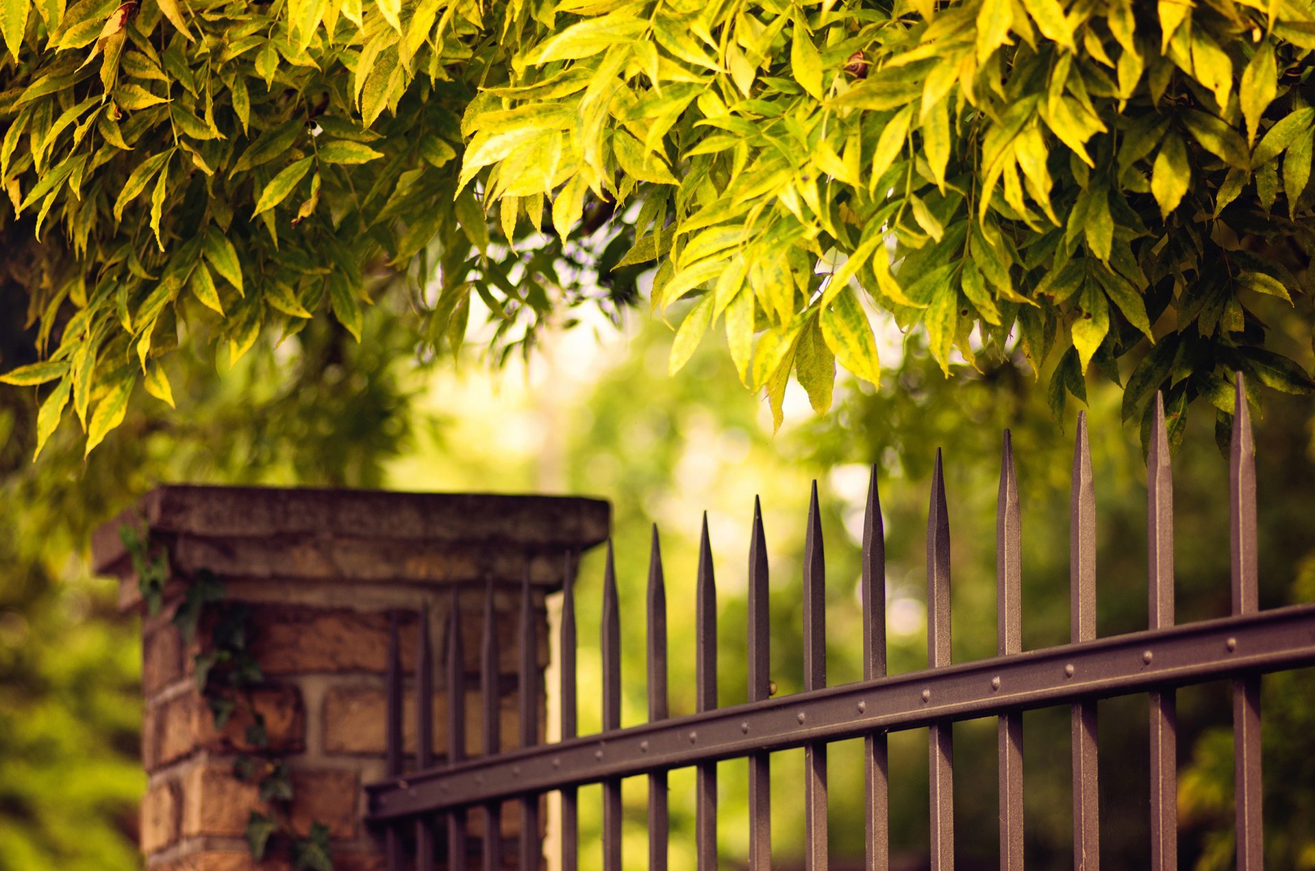 the fence leaves metal tree fence rod