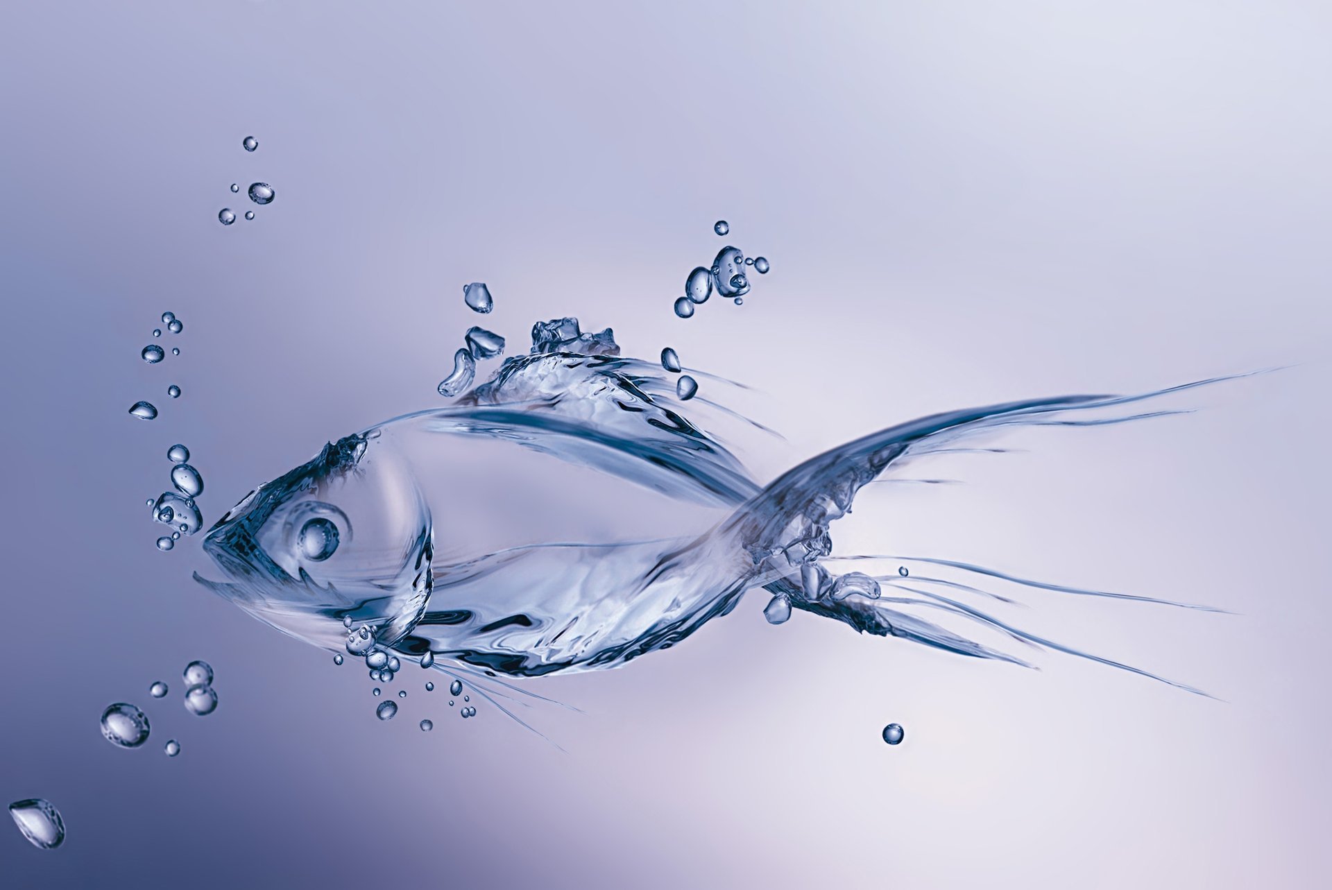 fish made made minimalism figure bubbles bubbles water fisch wasser