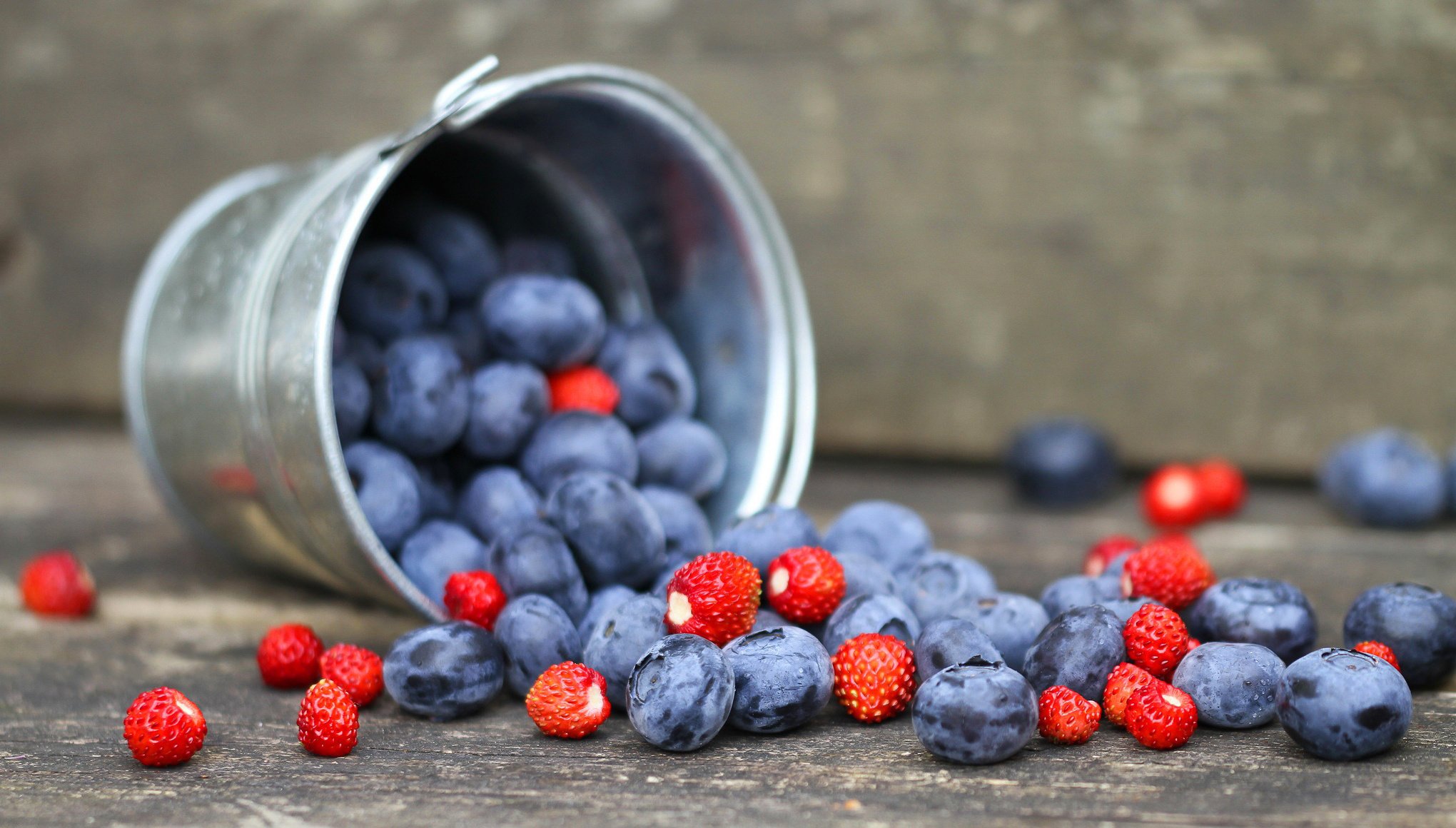 fresas arándanos bayas cubo