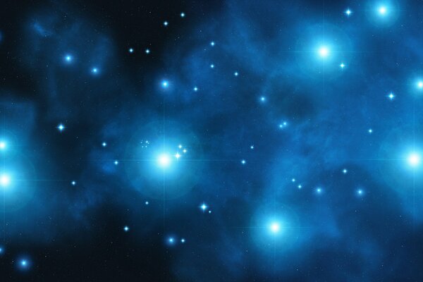 Estrellas brillantes. Cielo nocturno