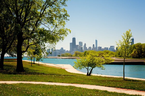 A park in Chicago with a view of skyscrapers