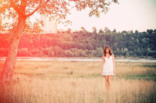 Ragazza in un vestito bianco su un bel campo