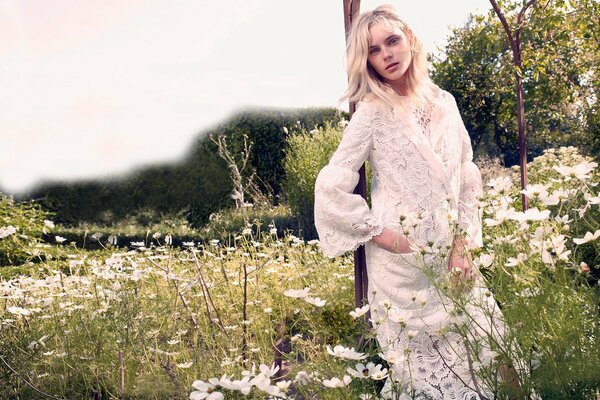 Girl model in the field on a blurry background