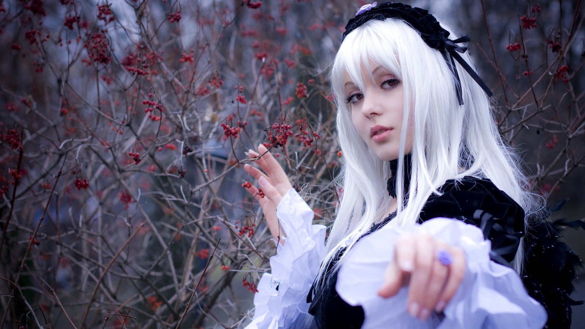 cosplay suigintou anime rozen maiden blond kostüm herbst beeren look