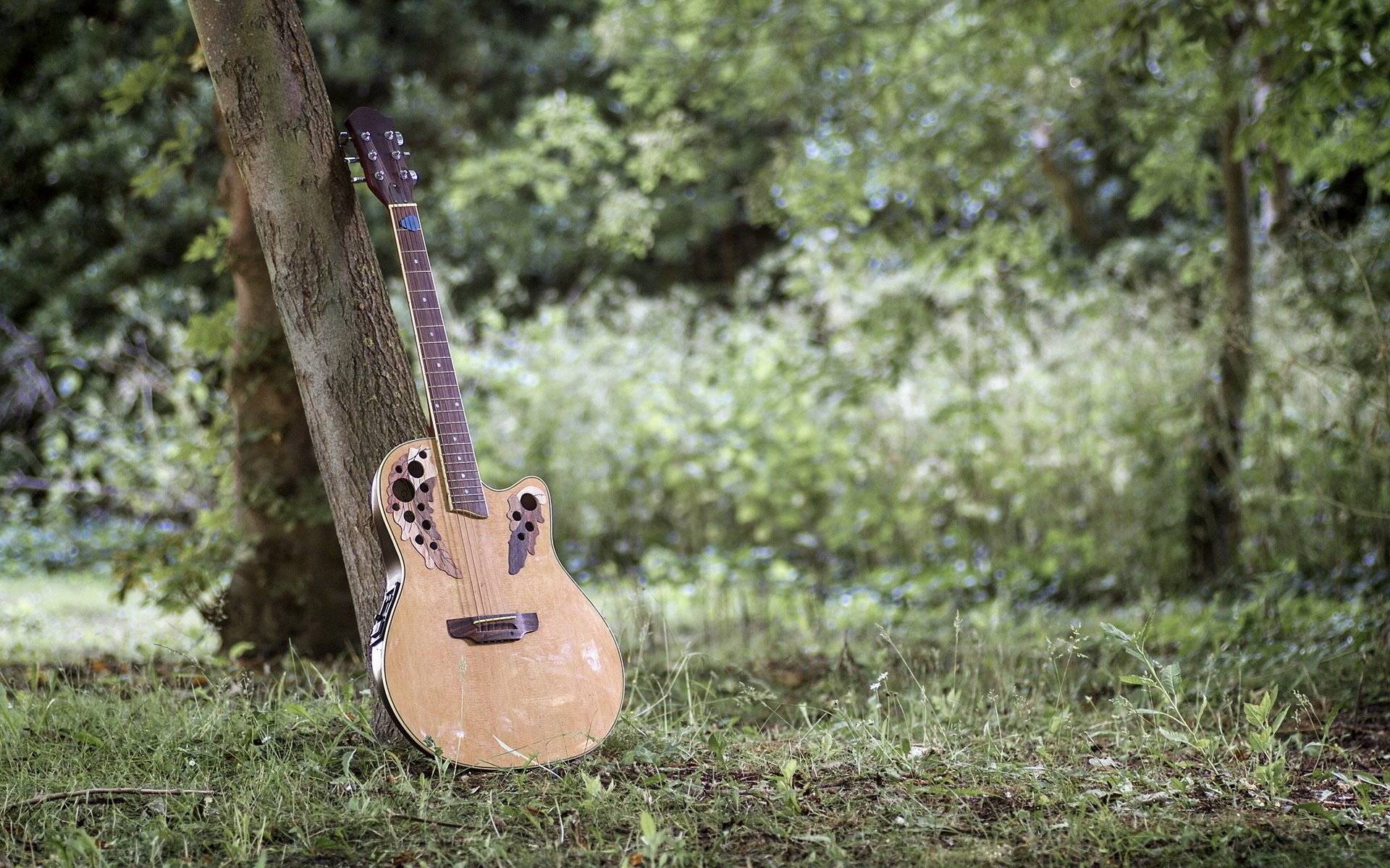 acoustic musica chitarra