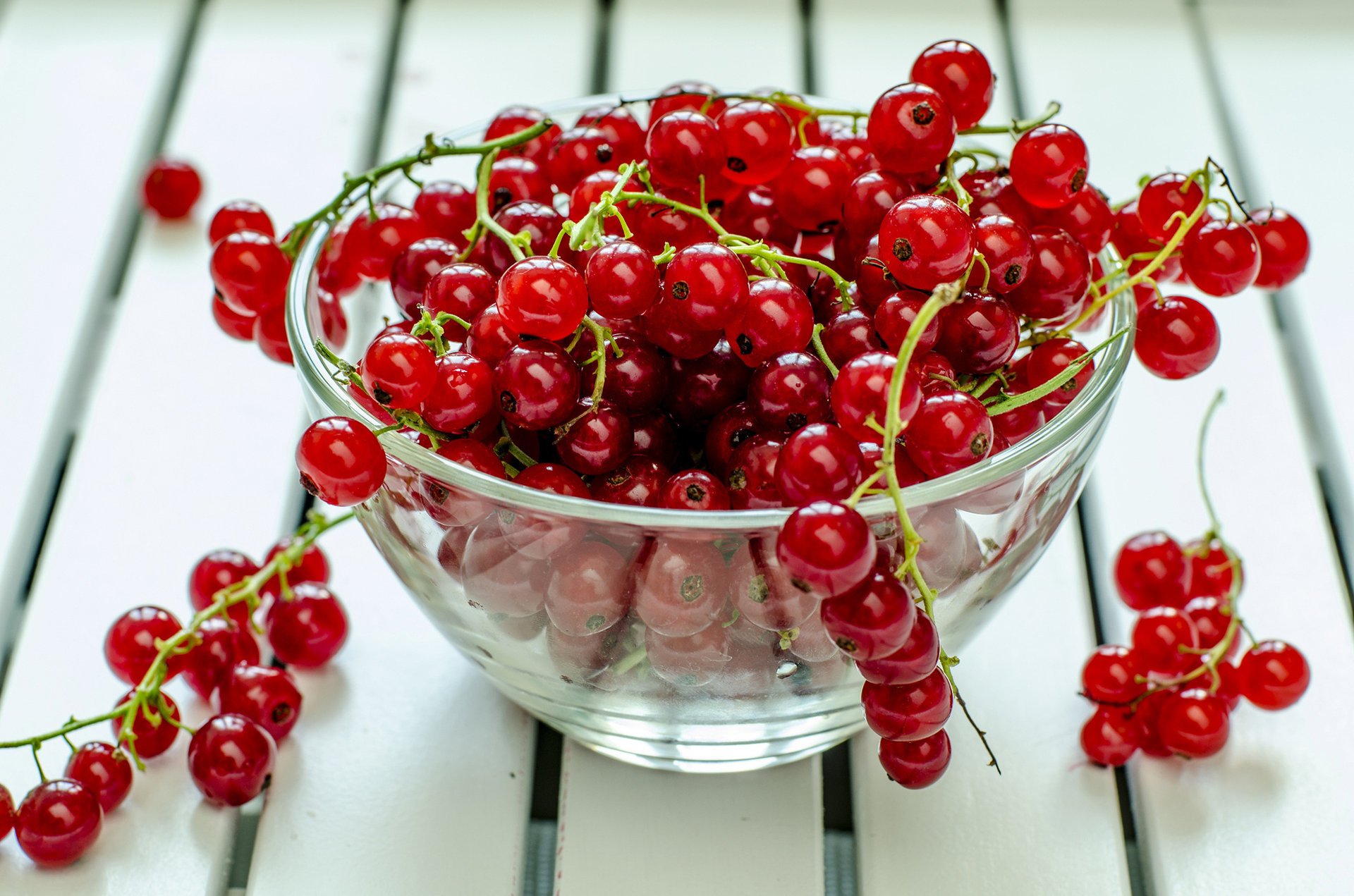 currants plate berries red table