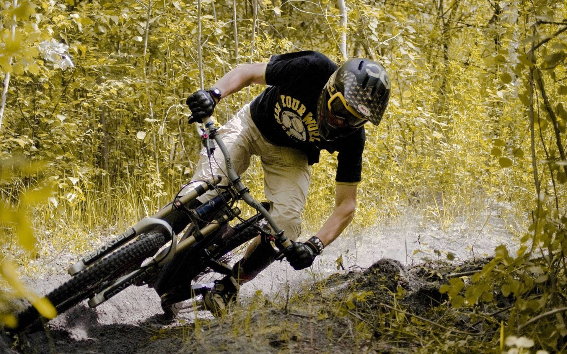 route forêt vélo