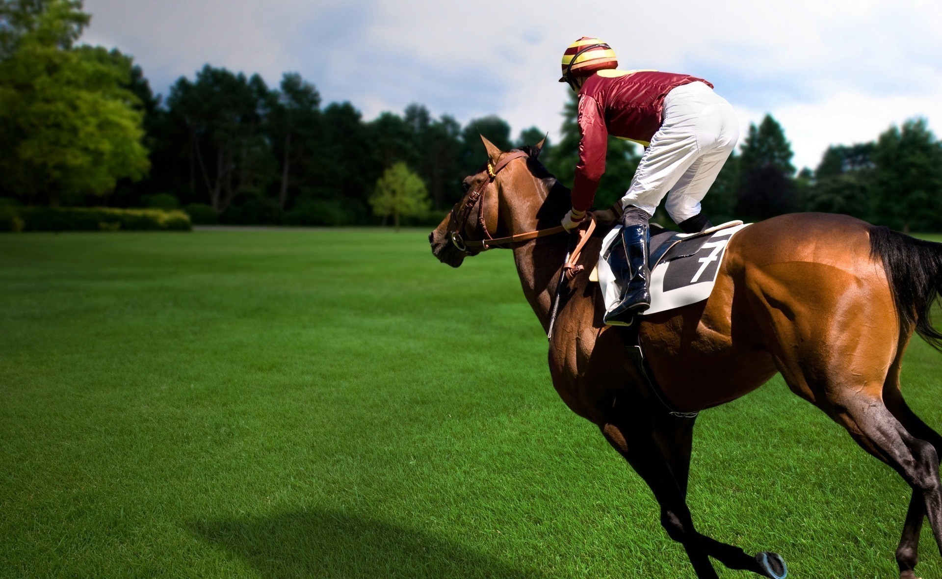 jinete caballo deporte connny