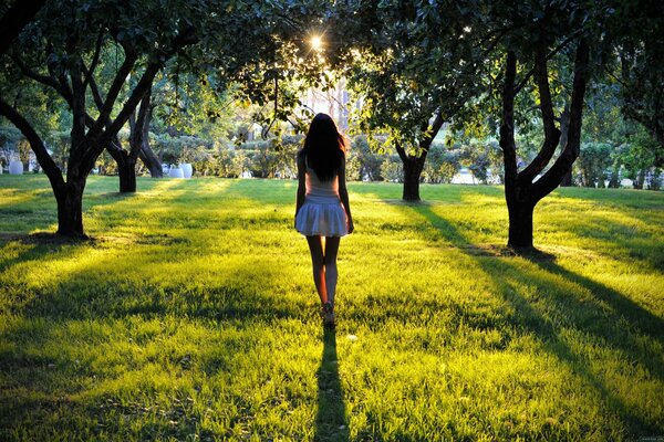 Silhouette of a girl in the sun in the park