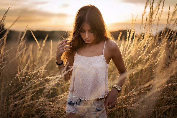 Bella ragazza in campo durante il tramonto