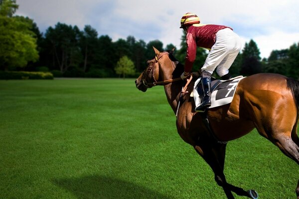 A rider on a horse gallops towards the forest