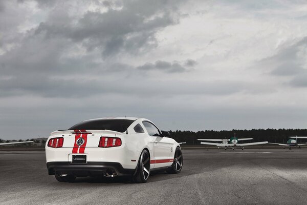 Mustang blanc sur erodrom avec des avions