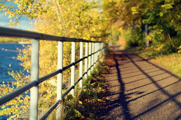 Schatten auf dem Weg von der Verbrennung im Herbstplatz am Wasser