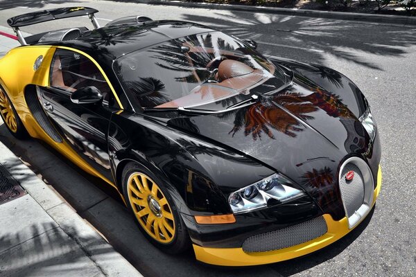 The black and yellow bugatti stands under palm trees and the sun