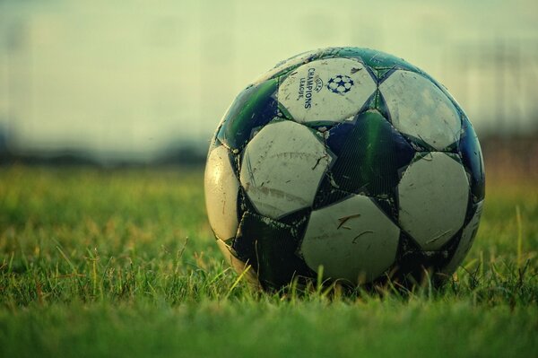 Balón de fútbol en el campo en la hierba