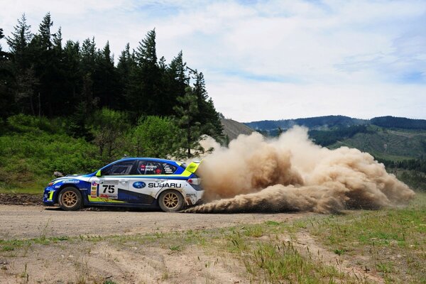 Competitions on a burly track with a sports car