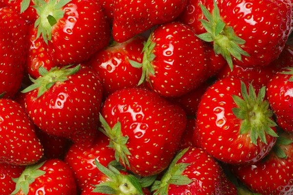 Red shiny strawberries close up