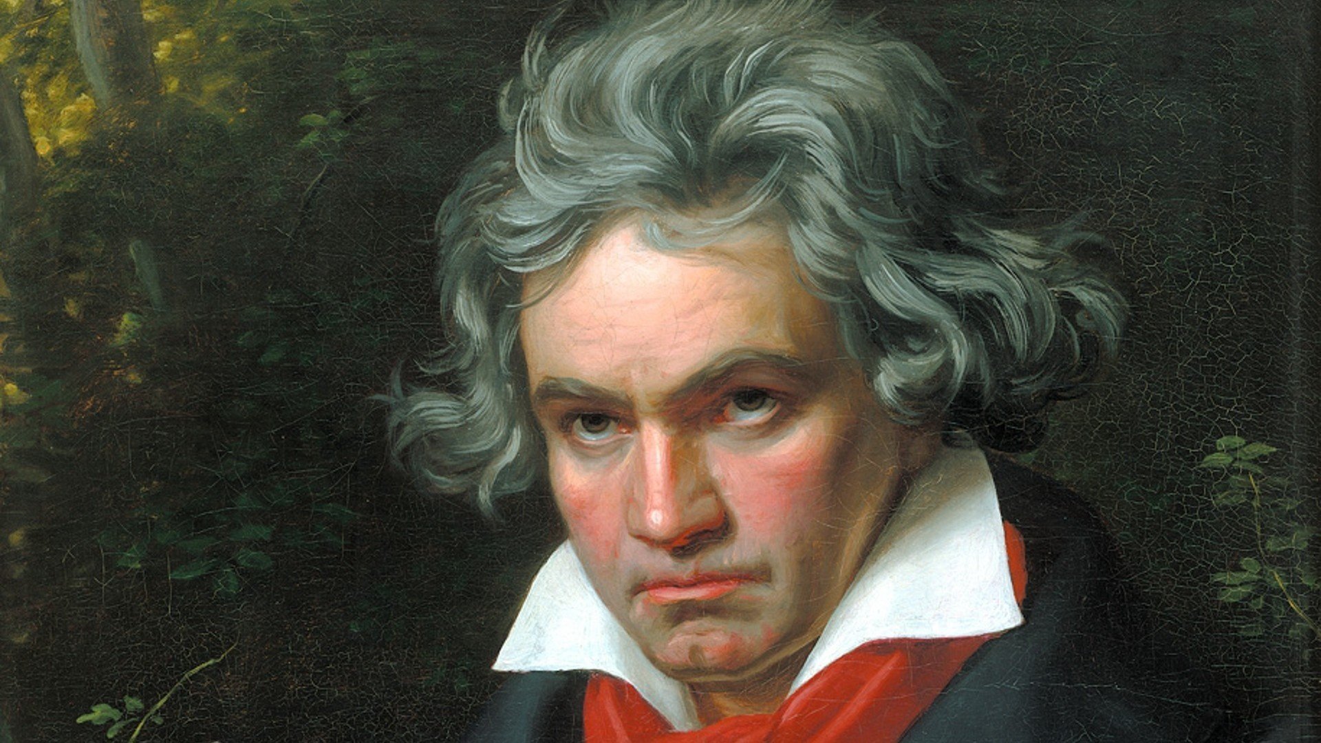 ludwig van beethoven ludwig van beethoven musician composer